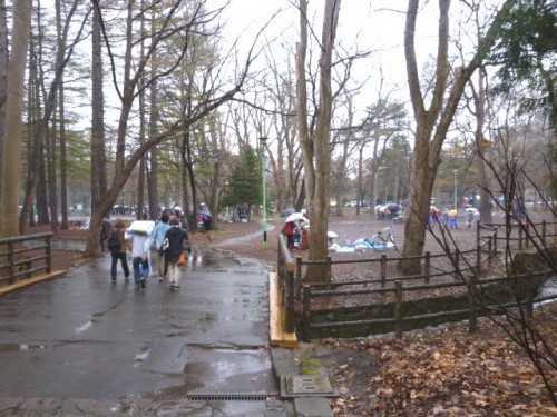雨の円山公園