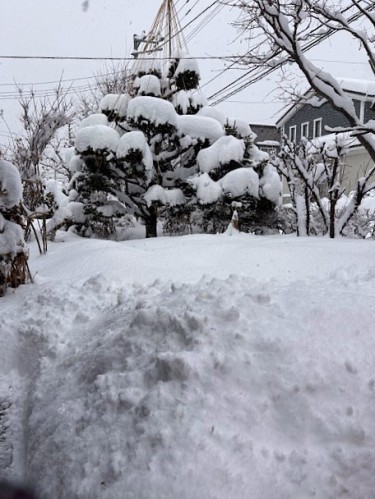 まとまった雪！